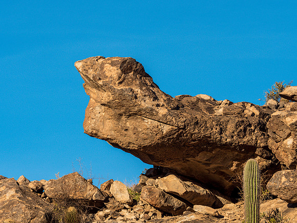 Arizona 2018