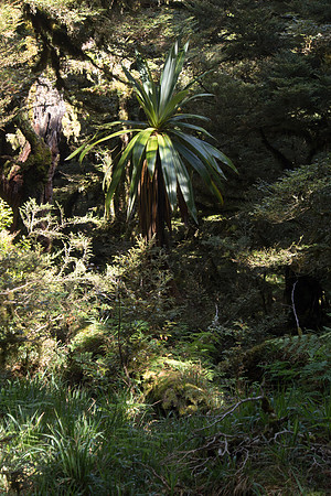 New Zealand 2013