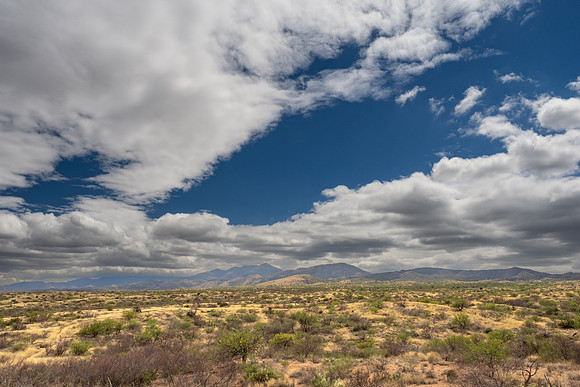 Arizona 2025