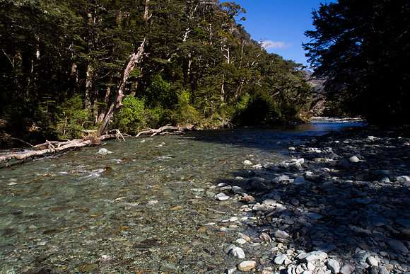 New Zealand 2013