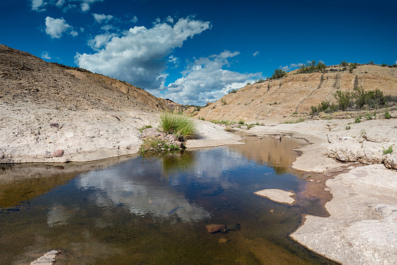 Arizona 2018