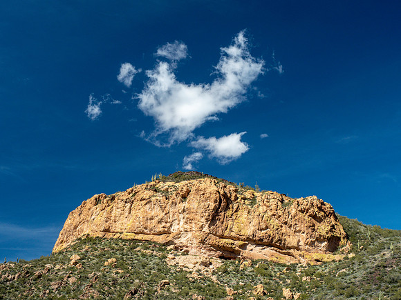 Arizona 2019