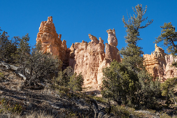 Bryce Canyon National Park 2022