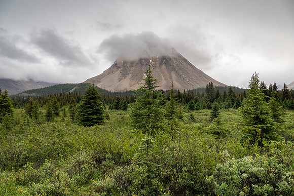 Banff National Park 2025
