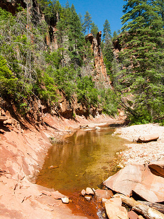 Arizona 2005