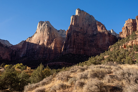 Zion National Park 2024