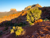 Sedona 2005