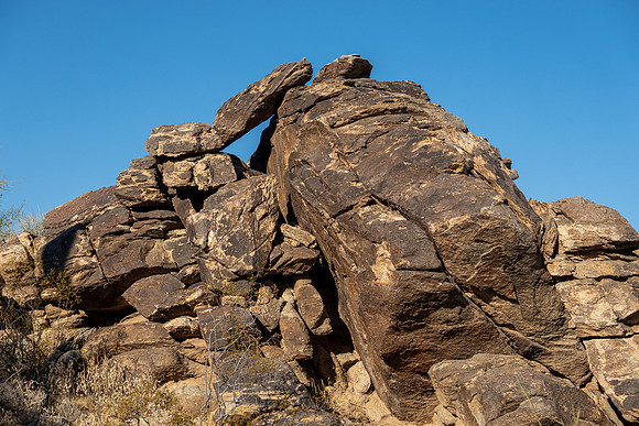 Arizona 2019