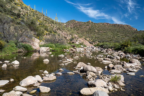 Arizona 2020