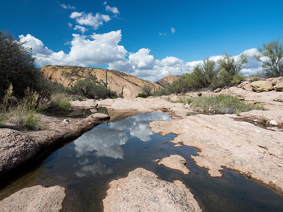 Arizona 2018